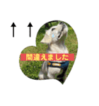 あいづち上手！ペキチワぶんた5（修正版）（個別スタンプ：34）