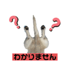あいづち上手！ペキチワぶんた5（修正版）（個別スタンプ：39）