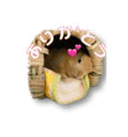 ドンちゃん スタンプ2（個別スタンプ：11）