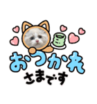 ふだんづかいのラグドールのラムニャン（個別スタンプ：1）
