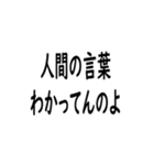 犬が思ってること（個別スタンプ：24）