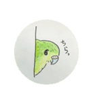 カポちゃんとママさんち いつも（個別スタンプ：8）