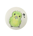 カポちゃんとママさんち いつも（個別スタンプ：12）