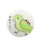 カポちゃんとママさんち いつも（個別スタンプ：13）