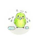 カポちゃんとママさんち いつも（個別スタンプ：31）