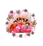 momonga鼯鼠（個別スタンプ：2）