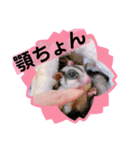 momonga鼯鼠（個別スタンプ：7）
