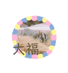momonga鼯鼠（個別スタンプ：8）