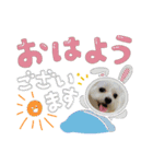 日常で使えるU^ェ^Uのスタンプ  NO.2（個別スタンプ：1）