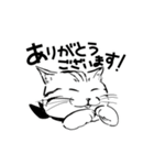 連絡用犬と猫（個別スタンプ：1）