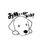 連絡用犬と猫（個別スタンプ：7）