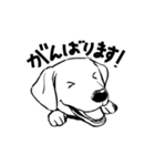 連絡用犬と猫（個別スタンプ：10）