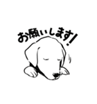連絡用犬と猫（個別スタンプ：12）
