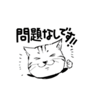 連絡用犬と猫（個別スタンプ：13）