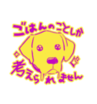 連絡用犬と猫（個別スタンプ：19）