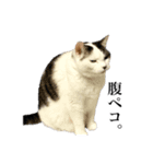 らんらん vol.2（個別スタンプ：30）