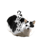 らんらん vol.2（個別スタンプ：32）