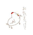 敬語な4本足のにわとり（個別スタンプ：20）