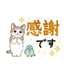 文字大きめ☆猫たちのスタンプ（個別スタンプ：13）