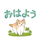 文字大きめ☆猫たちのスタンプ（個別スタンプ：25）