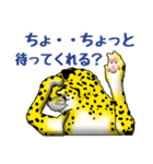 05 チーター（個別スタンプ：17）