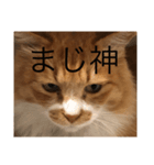 つぶやくドロちゃん（個別スタンプ：2）