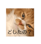 つぶやくドロちゃん（個別スタンプ：6）