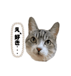 プリティーちゃんもも(顔だけ)（個別スタンプ：9）