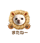 チワワのニコちゃんスタンプ（個別スタンプ：24）