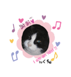 保護猫黒ちゃんの日課(仮)（個別スタンプ：3）