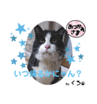保護猫黒ちゃんの日課(仮)（個別スタンプ：6）