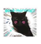保護猫黒ちゃんの日課(仮)（個別スタンプ：13）