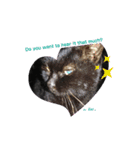 保護猫黒ちゃんの日課(仮)（個別スタンプ：14）