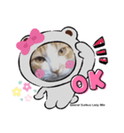 保護猫黒ちゃんの日課(仮)（個別スタンプ：15）