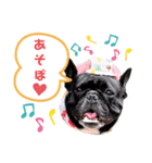 THE  THREE  BUHIREES  2（個別スタンプ：2）