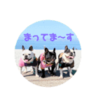 THE  THREE  BUHIREES  2（個別スタンプ：8）
