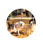 THE  THREE  BUHIREES  2（個別スタンプ：10）