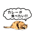 近所のノラさんズ（個別スタンプ：27）