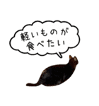 近所のノラさんズ（個別スタンプ：30）