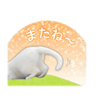 近所のノラさんズ（個別スタンプ：32）