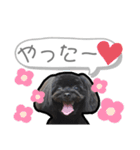 ヨープー(こるね)のスタンプ（個別スタンプ：5）