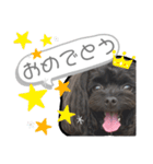 ヨープー(こるね)のスタンプ（個別スタンプ：6）