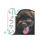 ヨープー(こるね)のスタンプ（個別スタンプ：7）