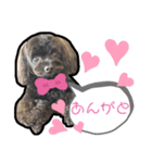 ヨープー(こるね)のスタンプ（個別スタンプ：8）