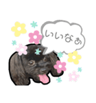 ヨープー(こるね)のスタンプ（個別スタンプ：18）