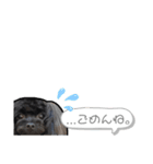 ヨープー(こるね)のスタンプ（個別スタンプ：21）
