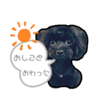 ヨープー(こるね)のスタンプ（個別スタンプ：23）