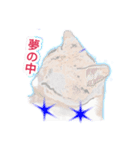 テレビ見るアン（個別スタンプ：5）