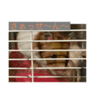 畑活ハタカツ4（個別スタンプ：7）
