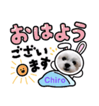 チロさんのカワイイスタンプ（個別スタンプ：1）